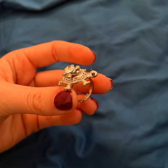 Turtle Fidget Spinner Ring - Picture 5 of 6